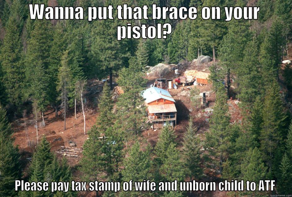 WANNA PUT THAT BRACE ON YOUR PISTOL? PLEASE PAY TAX STAMP OF WIFE AND UNBORN CHILD TO ATF Misc