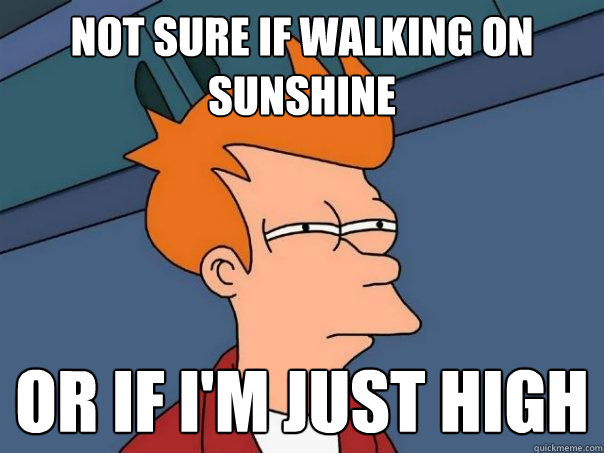 Not sure if walking on sunshine Or if I'm just high  Futurama Fry