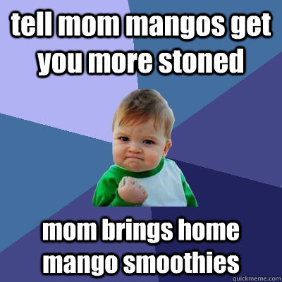 tell mom mangos get you more stoned mom brings home mango smoothies  Success Kid