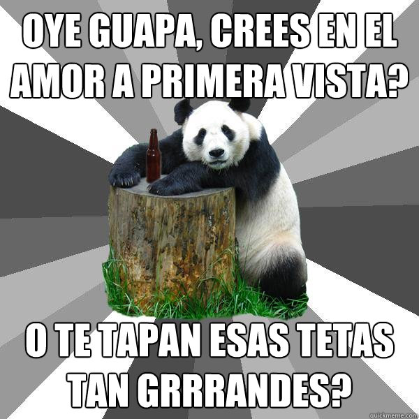 oye guapa, crees en el AMOR a primera vista? o te tapan esas tetas tan grrrandes?  Pickup-Line Panda