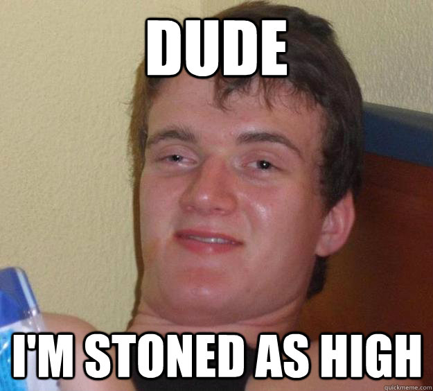 Dude I'm stoned as high - Dude I'm stoned as high  10 Guy