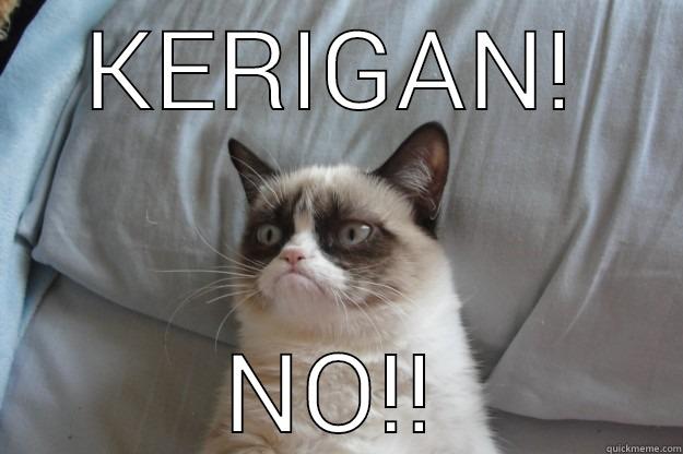 KERIGAN! NO!! Grumpy Cat