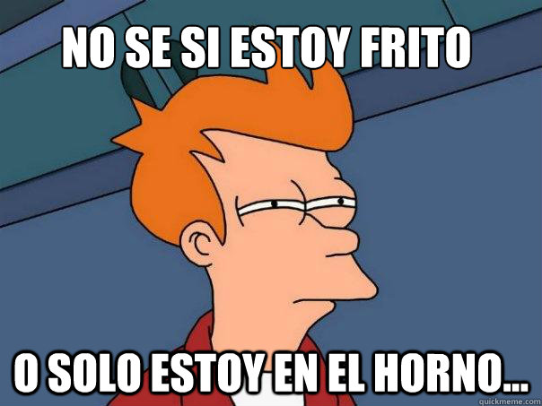 No se si estoy frito O solo estoy en el horno...  Futurama Fry