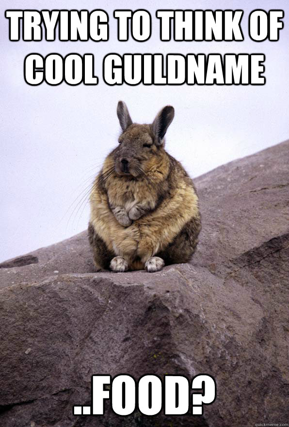 trying to think of cool guildname ..food?  Wise Wondering Viscacha