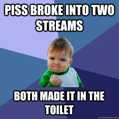 Piss broke into two streams Both made it in the toilet  Success Kid