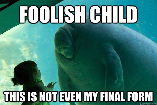 foolish child  this is not even my final form  - foolish child  this is not even my final form   Overlord Manatee