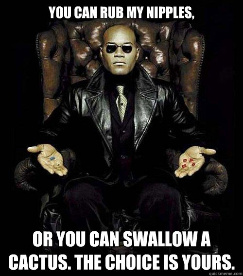 You can rub my nipples,  or you can swallow a cactus. The choice is yours.  Morpheus