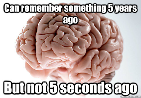 Can remember something 5 years ago But not 5 seconds ago  Scumbag Brain