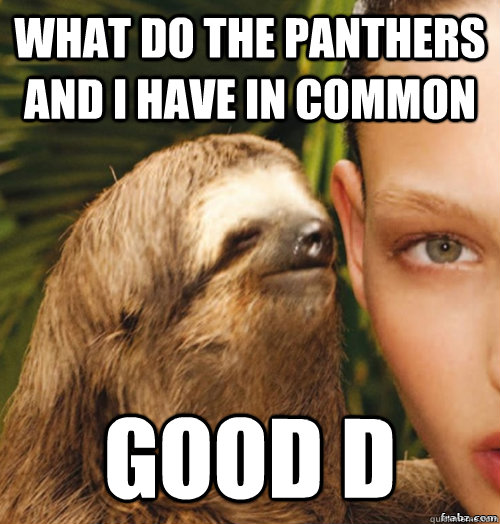 What do the Panthers and I have in common Good D  rape sloth