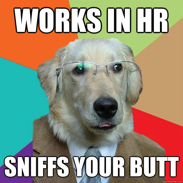 works in HR sniffs your butt  Business Dog