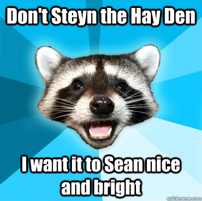 Don't Steyn the Hay Den I want it to Sean nice and bright - Don't Steyn the Hay Den I want it to Sean nice and bright  Lame Pun Coon