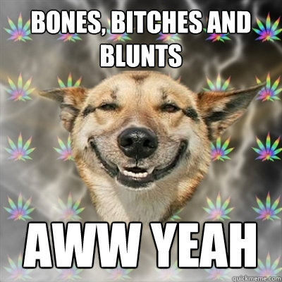 bones, bitches and blunts aww yeah  Stoner Dog