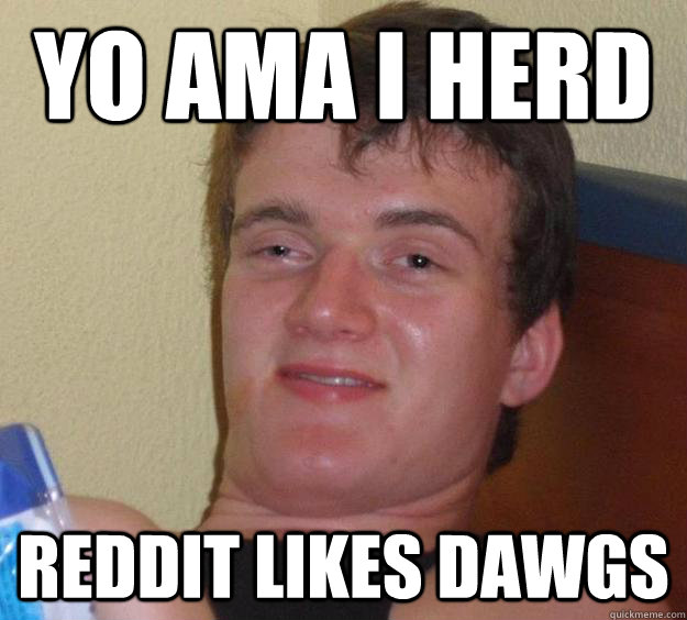 Yo ama i herd reddit likes dawgs  10 Guy