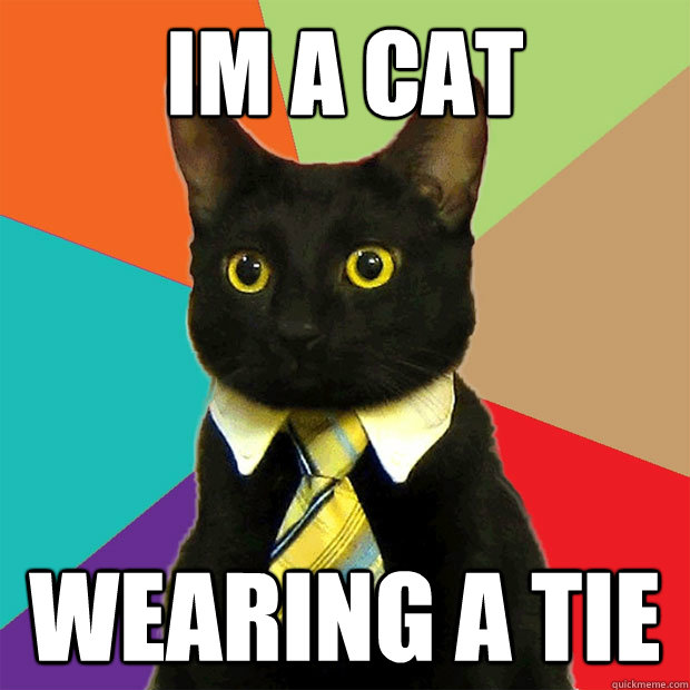 im a cat wearing a tie  Business Cat