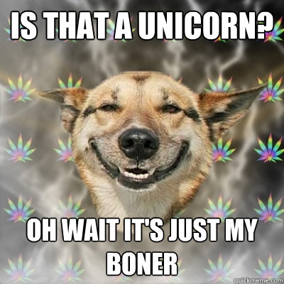 is that a unicorn? oh wait it's just my boner  Stoner Dog