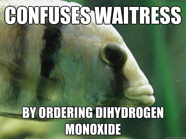confuses waitress by ordering dihydrogen monoxide  