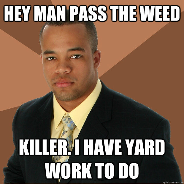 Hey man pass the weed killer. I have yard work to do - Hey man pass the weed killer. I have yard work to do  Successful Black Man