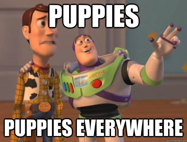 PUPPIES PUPPIES EVERYWHERE - PUPPIES PUPPIES EVERYWHERE  Misc