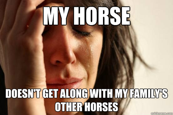 My horse doesn't get along with my family's other horses  First World Problems