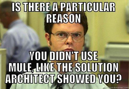 IS THERE A PARTICULAR REASON YOU DIDN'T USE MULE, LIKE THE SOLUTION ARCHITECT SHOWED YOU? Dwight