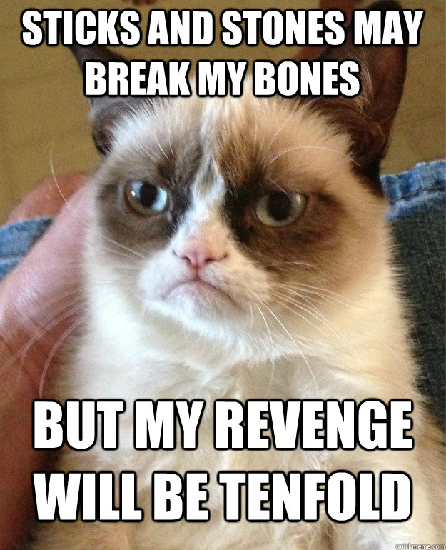 sticks and stones may break my bones  but my revenge will be tenfold  Grumpy Cat