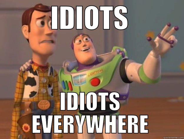 IDIOTS IDIOTS EVERYWHERE Toy Story