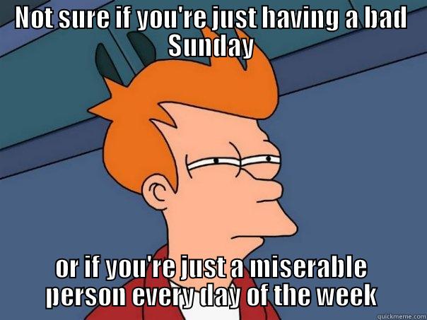 PK and Member - NOT SURE IF YOU'RE JUST HAVING A BAD SUNDAY OR IF YOU'RE JUST A MISERABLE PERSON EVERY DAY OF THE WEEK Futurama Fry