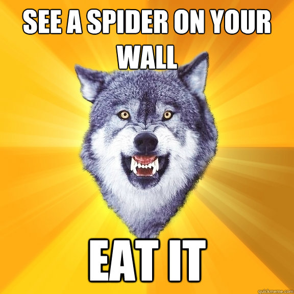 See a spider on your wall Eat it  Courage Wolf