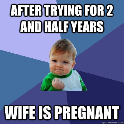 After trying for 2 and half years wife is pregnant  Success Kid