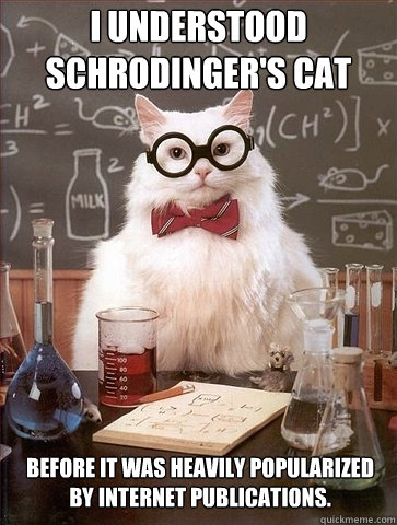 i understood Schrodinger's Cat Before it was heavily popularized by internet publications.  Chemistry Cat