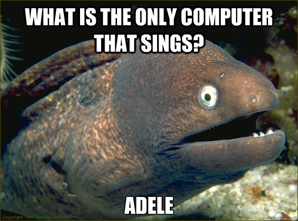 What is the only computer that sings? adele  Bad Joke Eel