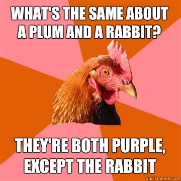 What's the same about a plum and a rabbit?  They're both purple, except the rabbit - What's the same about a plum and a rabbit?  They're both purple, except the rabbit  Anti-Joke Chicken