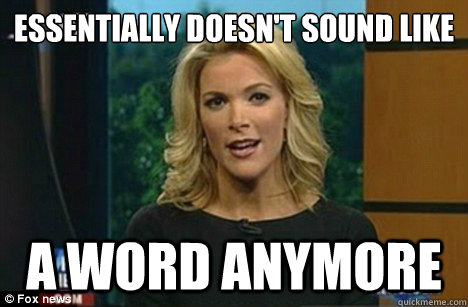 Essentially doesn't sound like a word a word anymore  Megyn Kelly