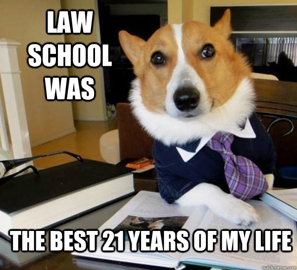 Law School Was The Best 21 Years of My Life  Lawyer Dog