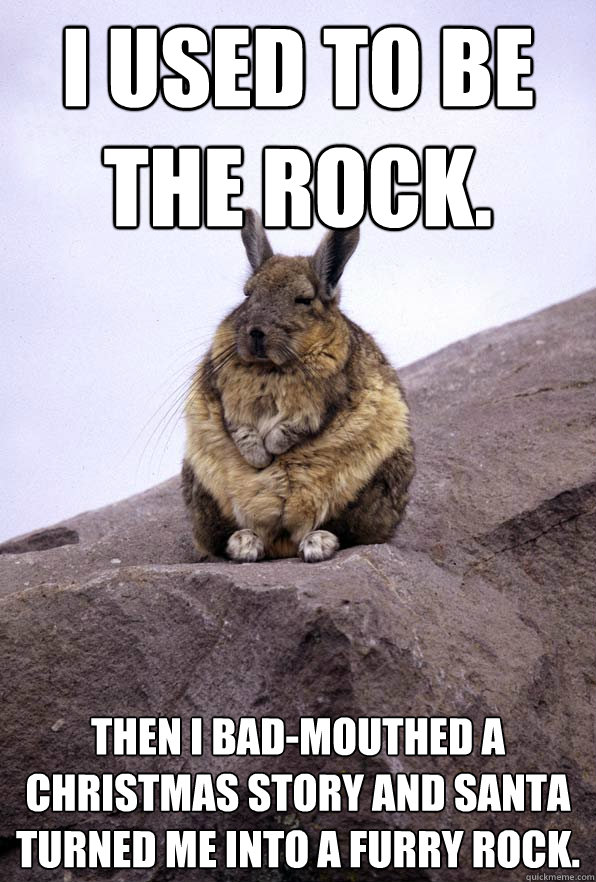 I used to be the rock. Then I bad-mouthed A christmas story and santa turned me into a furry rock.  Wise Wondering Viscacha