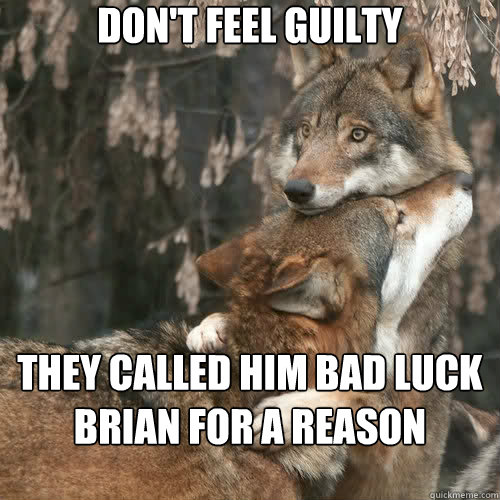 don't feel guilty they called him bad luck brian for a reason - don't feel guilty they called him bad luck brian for a reason  Comforting wolf