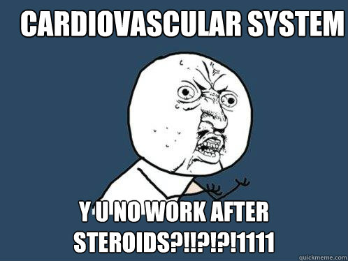 Cardiovascular System Y U NO work after steroids?!!?!?!1111  Y U No