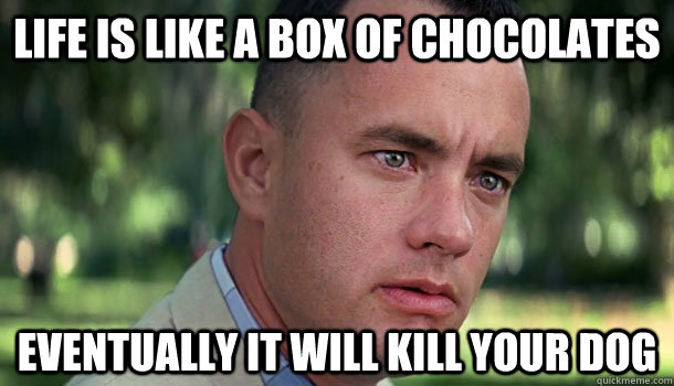 Life is like a box of chocolates Eventually it will kill your dog  Offensive Forrest Gump