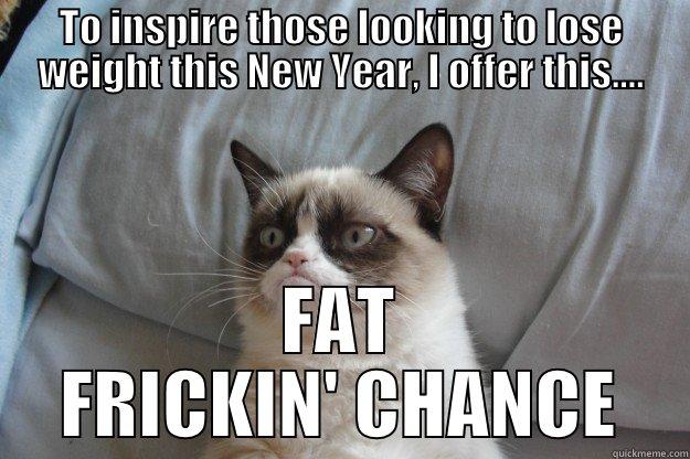 TO INSPIRE THOSE LOOKING TO LOSE WEIGHT THIS NEW YEAR, I OFFER THIS.... FAT FRICKIN' CHANCE Grumpy Cat