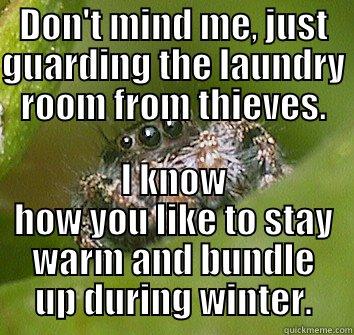 DON'T MIND ME, JUST GUARDING THE LAUNDRY ROOM FROM THIEVES. I KNOW HOW YOU LIKE TO STAY WARM AND BUNDLE UP DURING WINTER. Misunderstood Spider