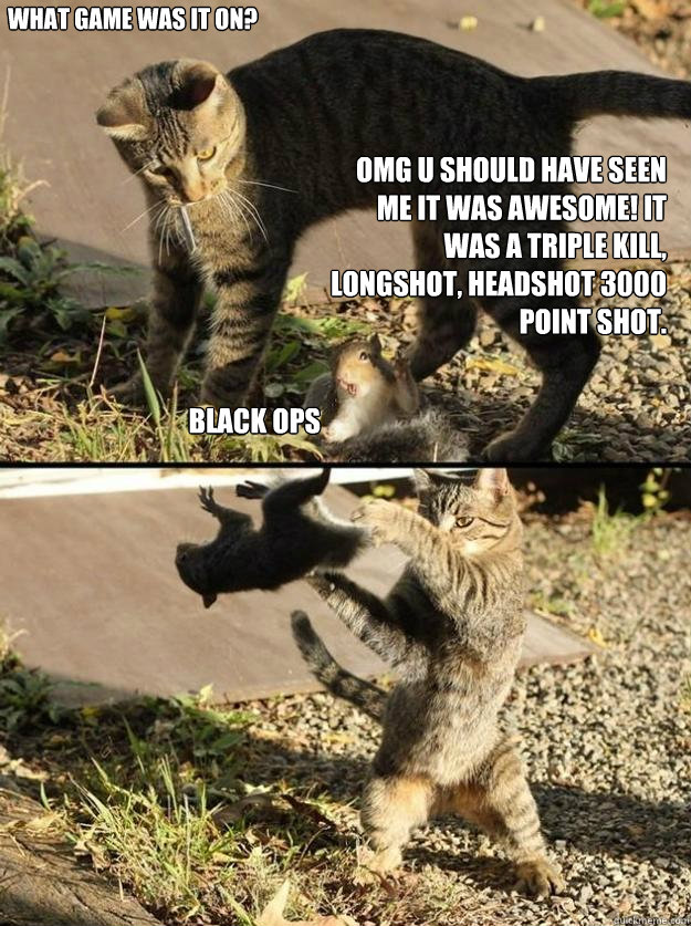 OMG u should have seen me it was awesome! it was a triple kill, longshot, headshot 3000 point shot. what game was it on? Black ops  Annoying Squirrel