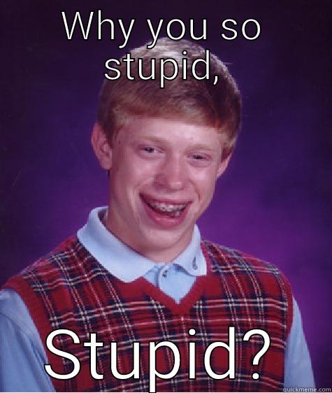 WHY YOU SO STUPID, STUPID? Bad Luck Brian