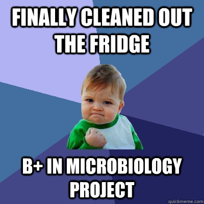 finally cleaned out the fridge b+ in microbiology project  Success Kid