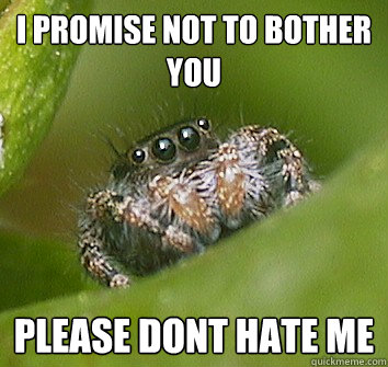 I promise not to bother you Please dont hate me  Misunderstood Spider