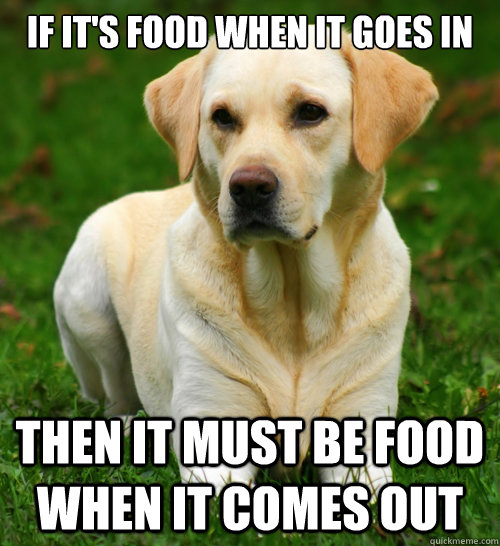 If it's food when it goes in then it must be food when it comes out  Dog Logic