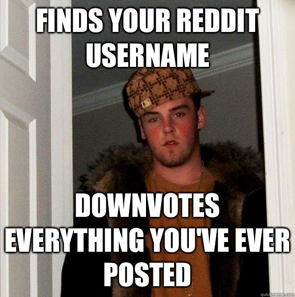 Finds your Reddit username Downvotes everything you've ever posted  Scumbag Steve