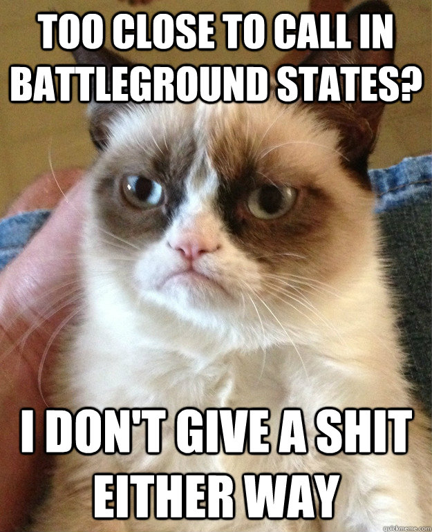 too close to call in battleground states? i don't give a shit either way  Grumpy Cat