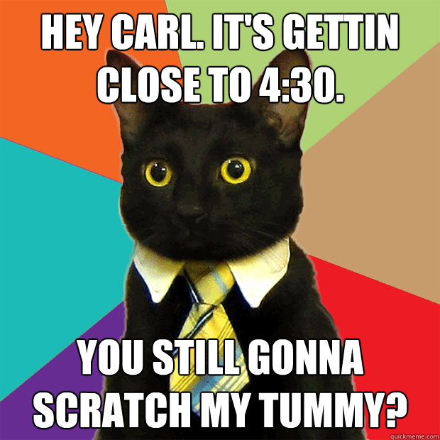 Hey carl. It's gettin close to 4:30. you still gonna scratch my tummy?  Business Cat