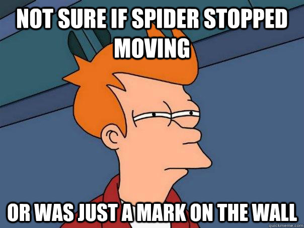 Not sure if spider stopped moving Or was just a mark on the wall  Futurama Fry