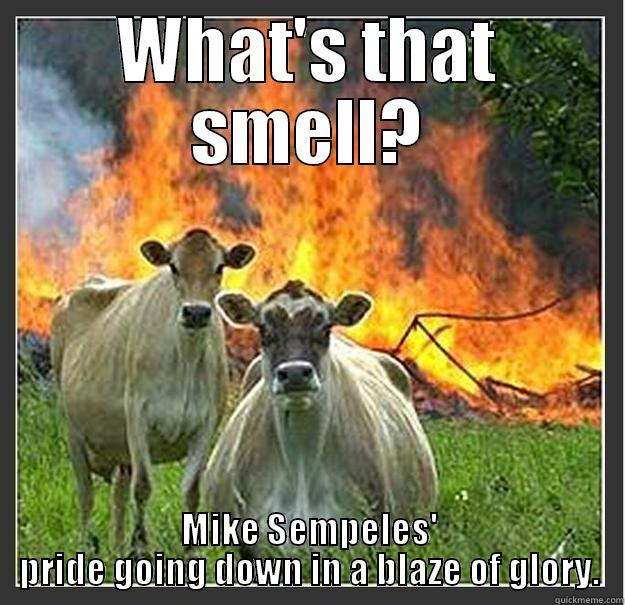 WHAT'S THAT SMELL? MIKE SEMPELES' PRIDE GOING DOWN IN A BLAZE OF GLORY. Evil cows